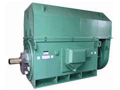 YKS4004-2Y系列6KV高压电机